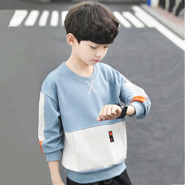 Boys Hoodies Sweatshirts Cotton Tops Outwear 2024 Cool Spring Autumn Windproof Kids School Children's Clothing