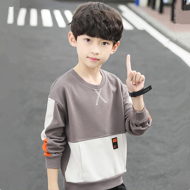 Boys Hoodies Sweatshirts Cotton Tops Outwear 2024 Cool Spring Autumn Windproof Kids School Children's Clothing