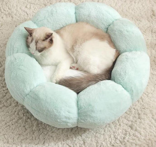 Fluffy Bliss Donut Pet Bed - Let your pet sleep in luxurious comfort