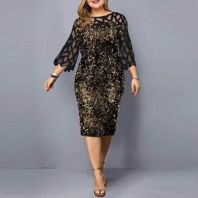 Plus Size Sequin Birthday Party Dress