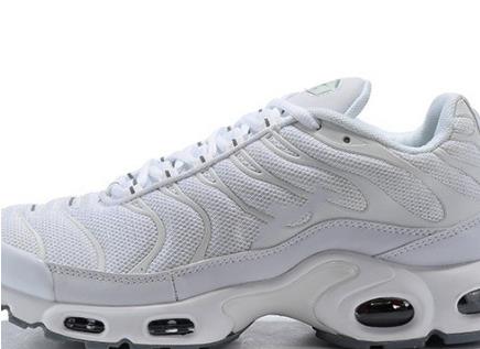 Nike Air Max Plus