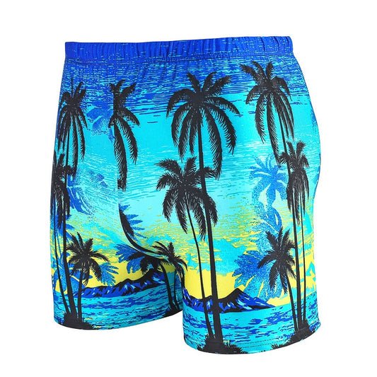 Men's Five Point Boxer Swimming Trunks